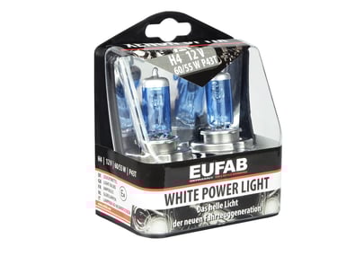 H4 Halogenlampen für PKW
