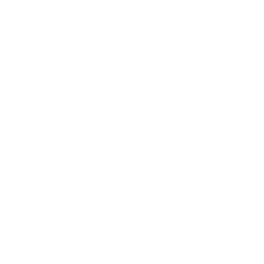 zeki logo