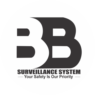 BB Surveillance System logo