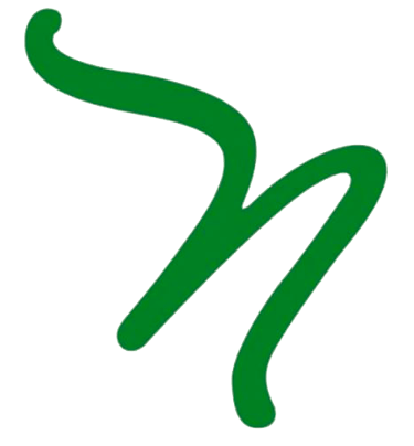 NUSAY EXPORT logo