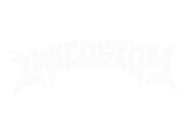LVX Custom logo