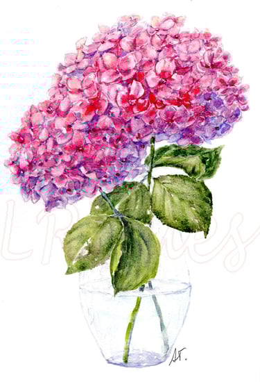 Hydrangea flowers painted in watercolor printed on a high quality greeting cards paper