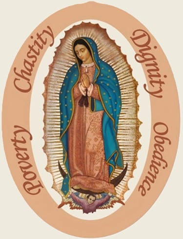 The Franciscan Daughters of Mary logo