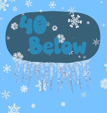 40 Below logo