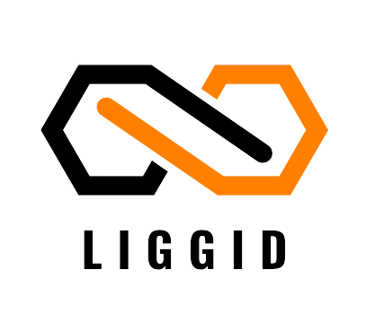 Liggid logo