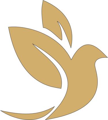 Swift Biz Connect logo