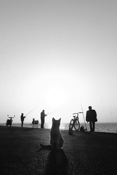 Black and white street image of cat watching fishermen with dynamic shadows and light.