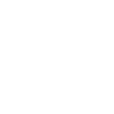 Praxton HR logo