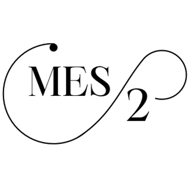 Mes2 logo