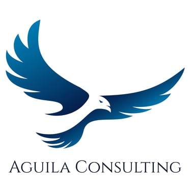 Aguila Consulting LLC logo