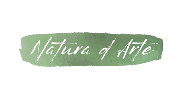 Marcella Canevarolo - Natura d'Arte logo