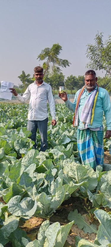 Maharashtra farmers in cauliflower field holding NXG® DELIGHT 100g tin by Nexgen Seeds.