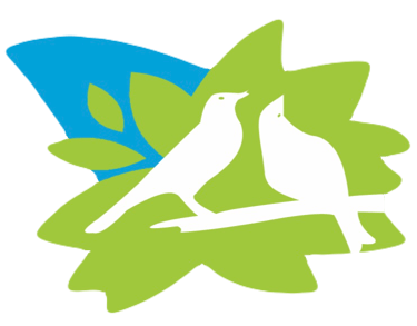 Cachoeira do Tijuipe logo