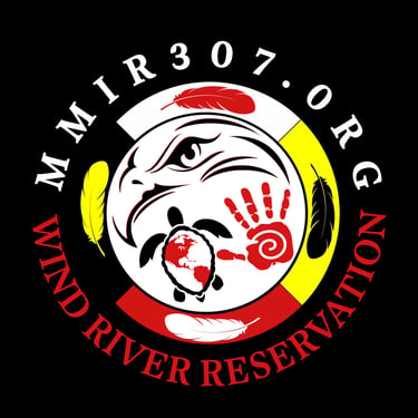 MMIR 307 logo