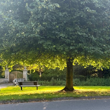 The Upwey Society logo