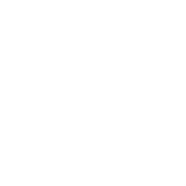 Dimora Spinei logo