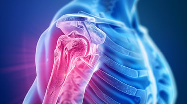 Graphic of the bones and joints in a human shoulder