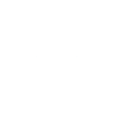 Daugiau nei sportas logo