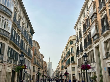 Larios Street Malaga Tour Free