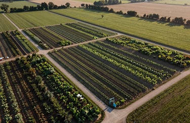 An aerial view of an organized organic farm with distinct planting zones and clean access paths, North American countryside, late afternoon lighting.