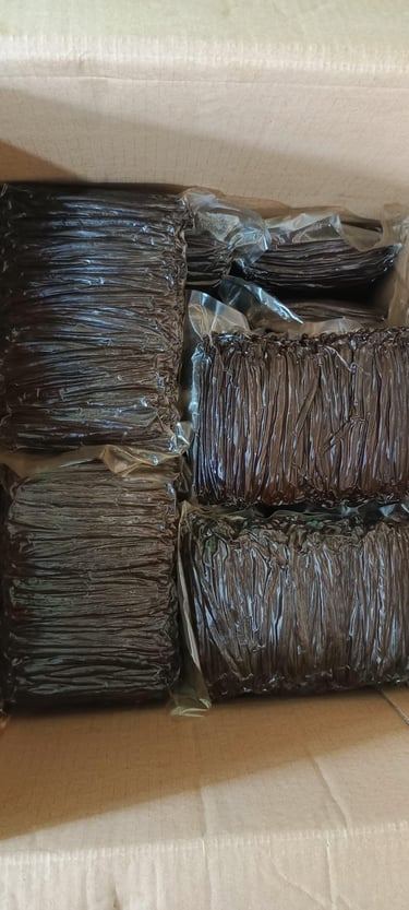 vanilla beans in packing