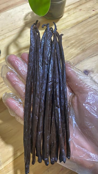 vanilla beans on hand