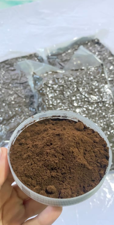 vanilla powder