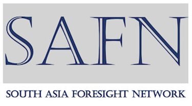 SAFN Millennium Project Washington,D.C. logo