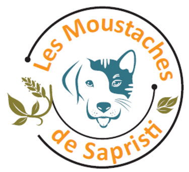 Les Moustaches de Sapristi logo