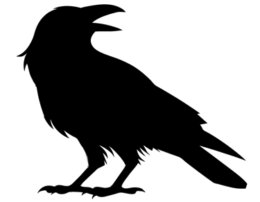 Bad Bird Graphics logo