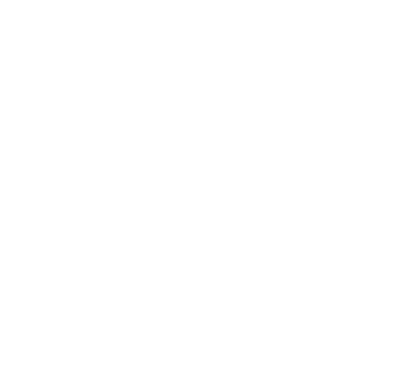 Geeks Data logo