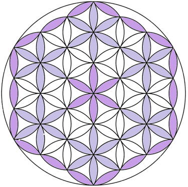 Fleur Quantique logo