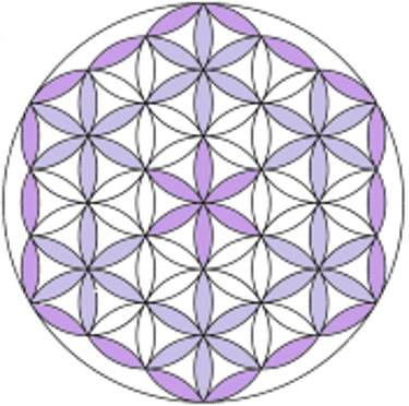 Stéphane Quinton / Fleur Quantique logo