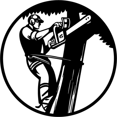 Ultra Tree Services ltd. Quality best price Tree Surgery logo