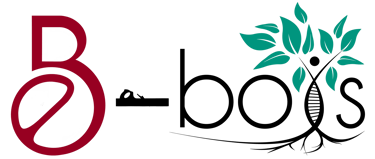 b-bois (bureau d'étude, menuiserie et agencement) logo