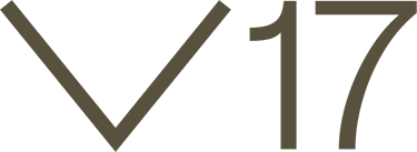 V17 logo