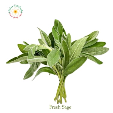 Fresh Sage