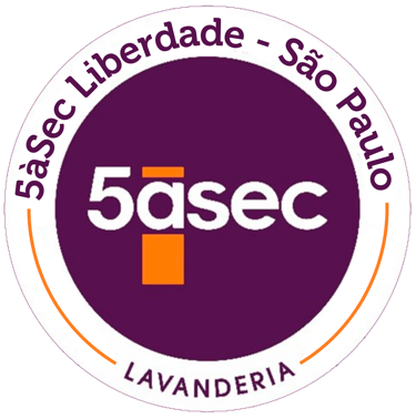 Maior Rede de Lavanderias do Mundo!  5àSec Liberdade ao seu dispor. logo