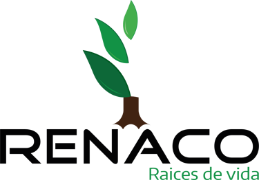 fundación renaco logo