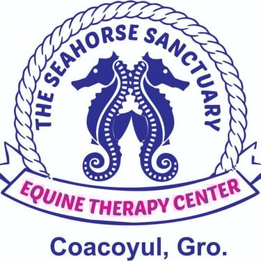 theseahorsesanctuaryequinetherapycenter logo