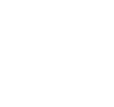 LernStern logo