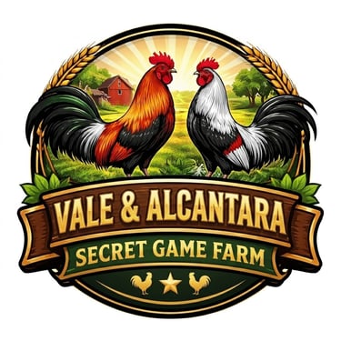 AngeloRosarosoValeJr.com logo