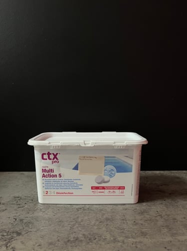 chlore multi 5 actions 1 kg