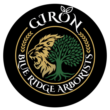 Giron Blue Ridge Arborists logo