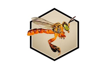Abejas Y Mieles Costa Rica logo