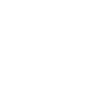Peter Teddy Studio logo