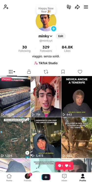 Captura de pantalla del perfil de TikTok de Minky
