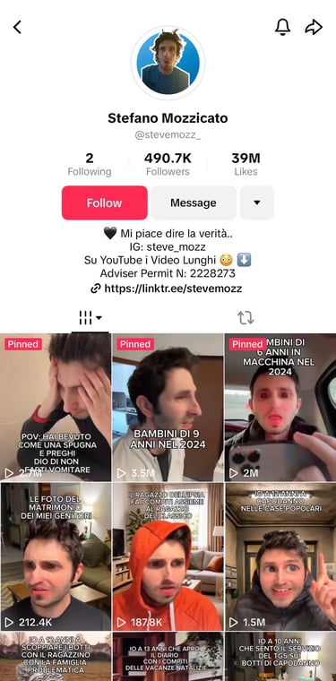 Captura de pantalla del perfil de TikTok de Steve Mozz