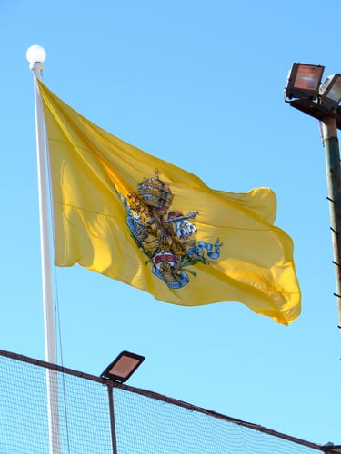 The Flags Are Flying
