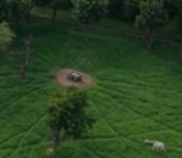 Third Eye Manifest logo